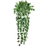 Faux Lierre Pour Des Plantes Tombantes élégantes Et Faciles D’entretien