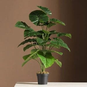 Faux Philodendron élégant Pour Décoration Intérieure