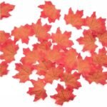 Feuilles D’érable Naturelles Pour Décoration Et Artisanat