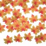 Feuilles D’érable Naturelles Pour Décoration Et Artisanat