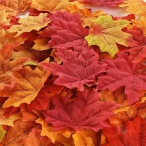Feuilles D’érable Naturelles Pour Décoration Et Artisanat