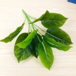 feuilles tropicales artificielles pour decorations exotiques 333 1