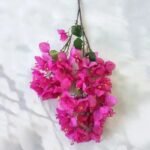 Fleur Artificielle Bougainvillier Pour Décoration Intérieure
