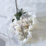 Fleur Artificielle Bougainvillier Pour Décoration Intérieure - Blanc
