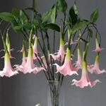 Fleur Artificielle Datura Pour Une Décoration élégante Et Durable
