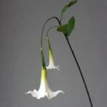 Fleur Artificielle Datura Pour Une Décoration élégante Et Durable