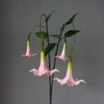 Fleur Artificielle Datura Pour Une Décoration élégante Et Durable
