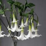 Fleur Artificielle Datura Pour Une Décoration élégante Et Durable