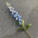 Fleur Artificielle: élégance Durable Avec Digitales Fleurs - Bleu Clair