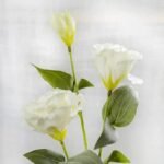 Lisianthus Artificiel (Eustoma Grandiflora) Pour Décoration Intérieure
