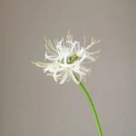Lycoris Higanbana Artificiel Élégant Pour Décoration Intérieure