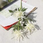 Houx de Mer Artificiel Élégant Pour Décoration Intérieure