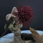 Fleurs de Nutan (Leucospermum) Artificielles Élégantes Pour Décoration Intérieure