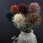 Fleurs de Nutan (Leucospermum) Artificielles Élégantes Pour Décoration Intérieure