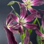 Fleur Artificielle élégante Pour Décoration Intérieure