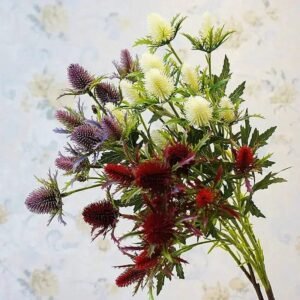 Eryngium Planum Artificiel Élégant Pour Décoration Intérieure