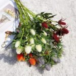 Eryngium Planum Artificiel Élégant Pour Décoration Intérieure