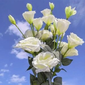 Lisianthus Artificiel 3 Fleurs et Bourgeon Pour Décoration Intérieure