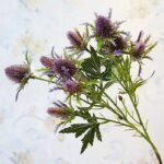 Eryngium Planum Artificiel Élégant Pour Décoration Intérieure
