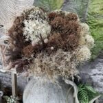 Fleurs de Nutan (Leucospermum) Artificielles Élégantes Pour Décoration Intérieure
