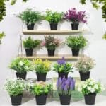 Fleur Artificielle élégante Pour Décoration Intérieure