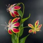 Lis de Malabar Artificiel Élégant Pour Décoration Intérieure