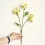 Fleur Artificielle élégante Pour Décoration Intérieure – Assortiment Multicolore