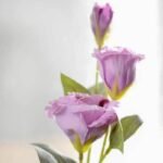 Lisianthus Artificiel (Eustoma Grandiflora) Pour Décoration Intérieure