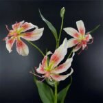 Lis de Malabar Artificiel Élégant Pour Décoration Intérieure