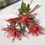 Fleur Artificielle élégante Pour Décoration Intérieure - Rouge