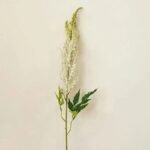 Astilbe de Chine Artificielle Élégante Pour Décoration Intérieure