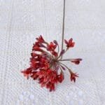 Fleur Artificielle élégante Pour Une Décoration Durable - Rouge