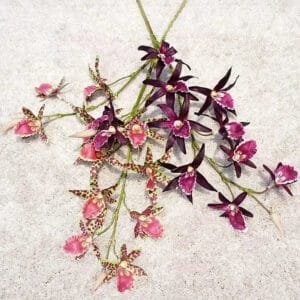 Fleur Artificielle élégante Pour Une Décoration Intemporelle