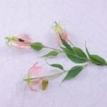 Fleur Artificielle Gloriosa Superba – élégance éternelle à La Maison