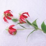 Fleur Artificielle Gloriosa Superba – élégance éternelle à La Maison