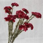 Fleur Artificielle Limonium Sinuatum Pour Une Décoration élégante