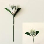 Fleur Artificielle Protéa Pour Une Décoration élégante Et Durable