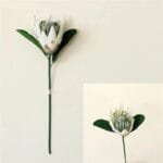Fleur Artificielle Protéa Pour Une Décoration élégante Et Durable - Blanc