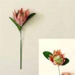 Fleur Artificielle Protéa Pour Une Décoration élégante Et Durable