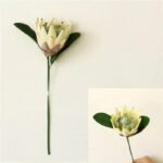 Fleur Artificielle Protéa Pour Une Décoration élégante Et Durable