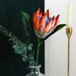 Fleur Artificielle Protéa Pour Une Décoration élégante Et Durable