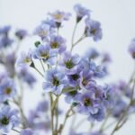 Fleur Artificielle Vernicia Fordii Pour Décoration élégante