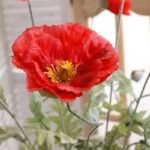 Fleur Coquelicot Artificiel Pour Décoration Intérieure