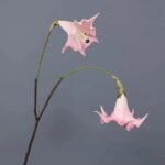 Fleur Datura Artificielle élégante Pour Décoration D’intérieur