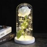 Fleur De Rose éternelle Pour Un Souvenir Durable