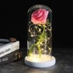 Fleur De Rose éternelle Pour Un Souvenir Durable
