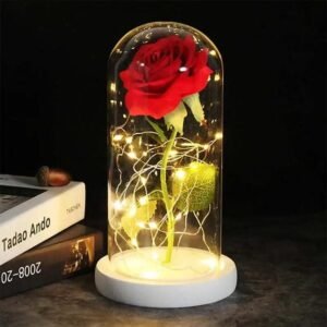 Fleur De Rose éternelle Pour Un Souvenir Durable
