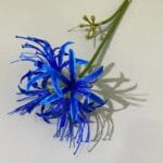 Fleur Higanbana Artificielle Pour Décoration élégante - Bleu