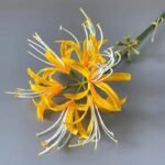 Fleur Higanbana Artificielle Pour Décoration élégante