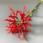 Fleur Higanbana Artificielle Pour Décoration élégante - Rouge